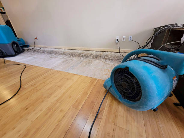 Professional Structural Drying technician working in Keene, NH